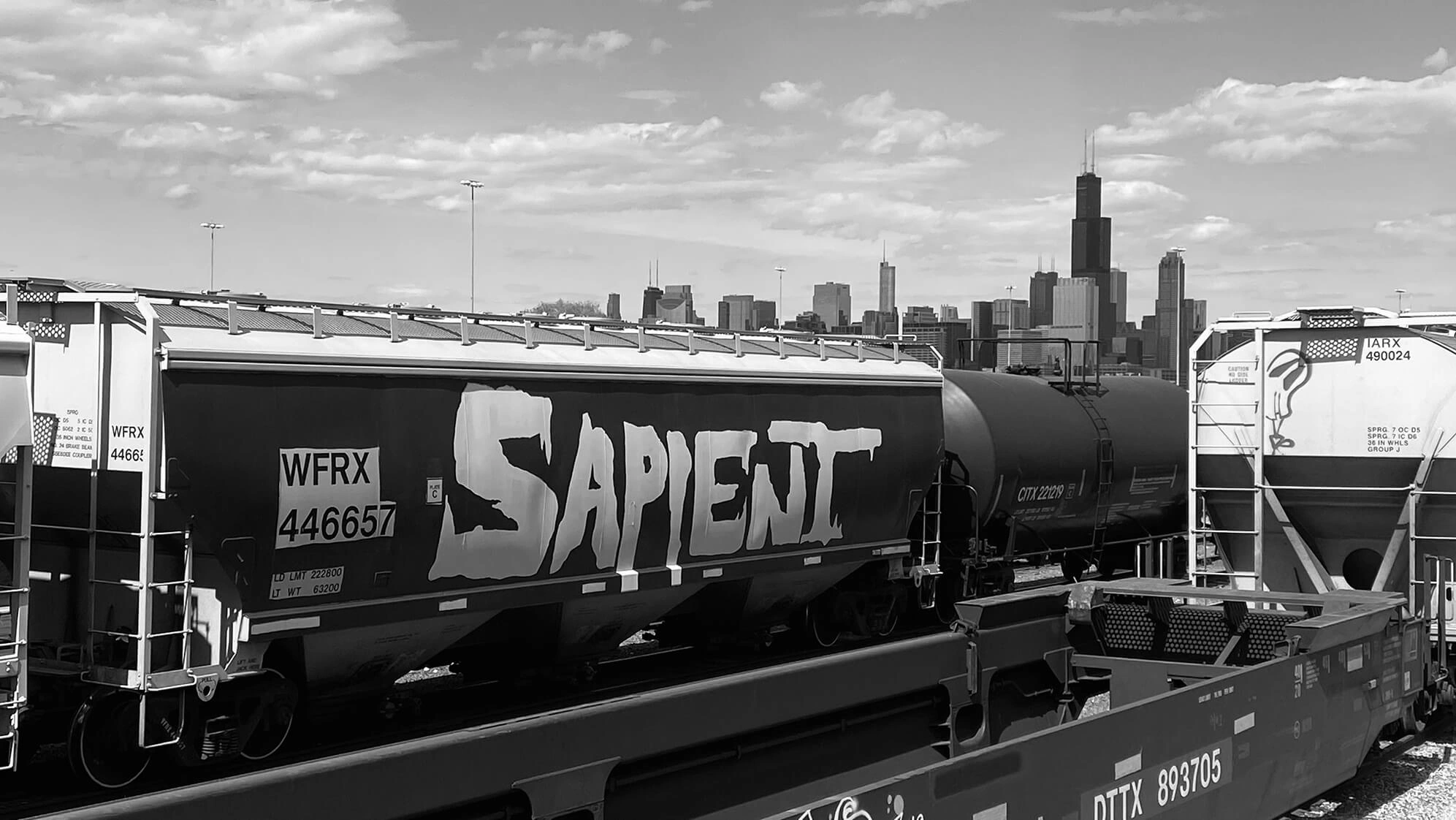 Sapient Train Sapient Skateboards | Made in Chicago